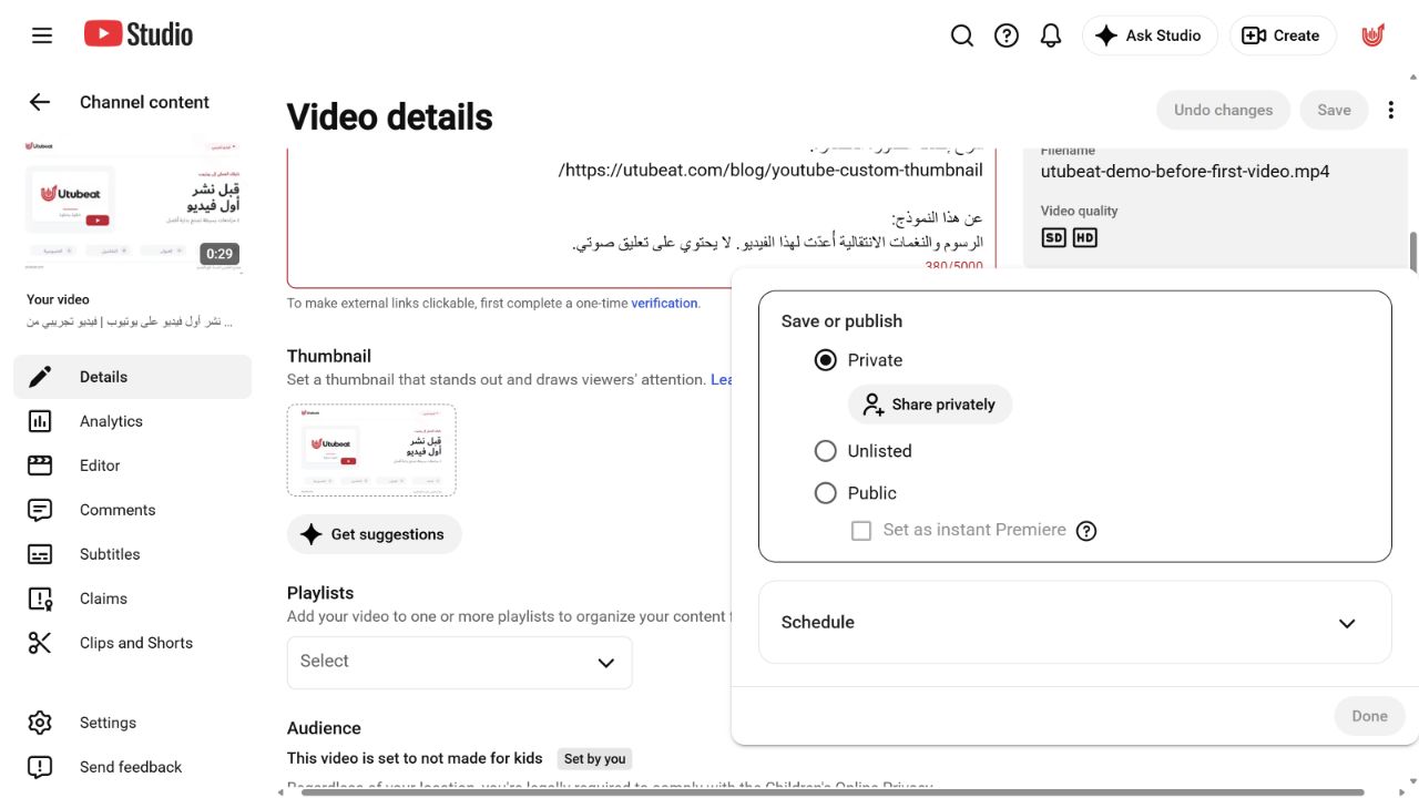 نافذة مستوى العرض تعرض خاص وغير مدرج وعلني، وأسفلها قسم Schedule مطوي